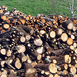 Legna da ardere, un combustibile ecologico e rinnovabile!