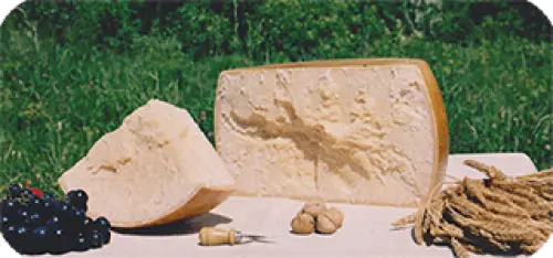 Il miglior Parmigiano Reggiano? Online su ParmaShop!