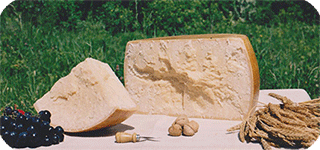 Il miglior Parmigiano Reggiano? Online su ParmaShop!