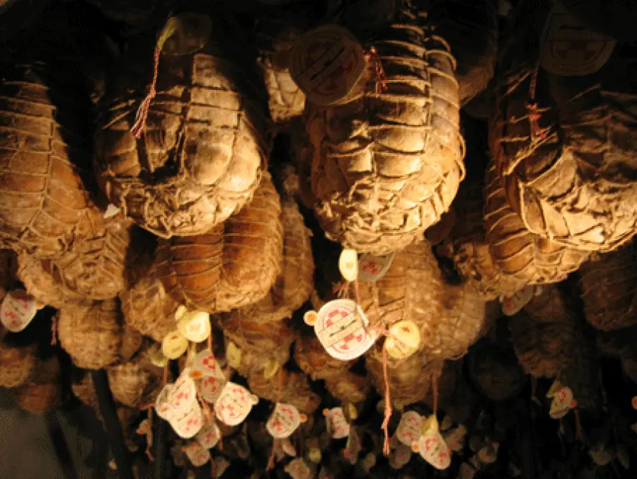 Culatello di Zibello: conoscerlo per apprezzarlo