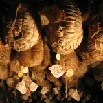 Culatello di Zibello: conoscerlo per apprezzarlo