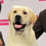 La regina delle esposizioni: il CRUFT'S