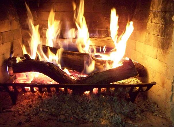 Acacia come legna ardere: anche in Emilia Romagna una valida alternativa