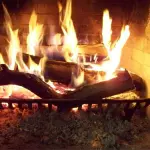 Acacia come legna ardere: anche in Emilia Romagna una valida alternativa